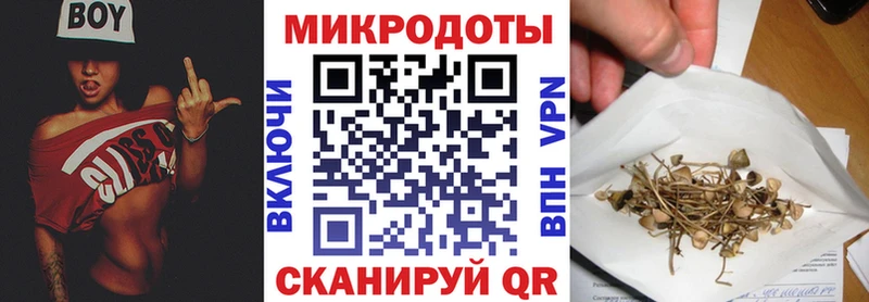 ссылка на мегу сайт  Верхнеуральск  Псилоцибиновые грибы Magic Shrooms 